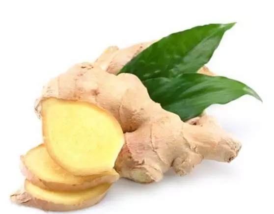 5ff825a8d4370.jpg 640.webp (3).jpg